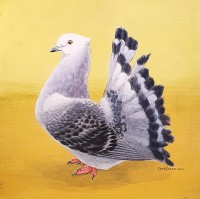 Shahjahan, 10 x 10 Inch, Acrylic on Card Board, Pigeon Painting, AC-SHJ-029